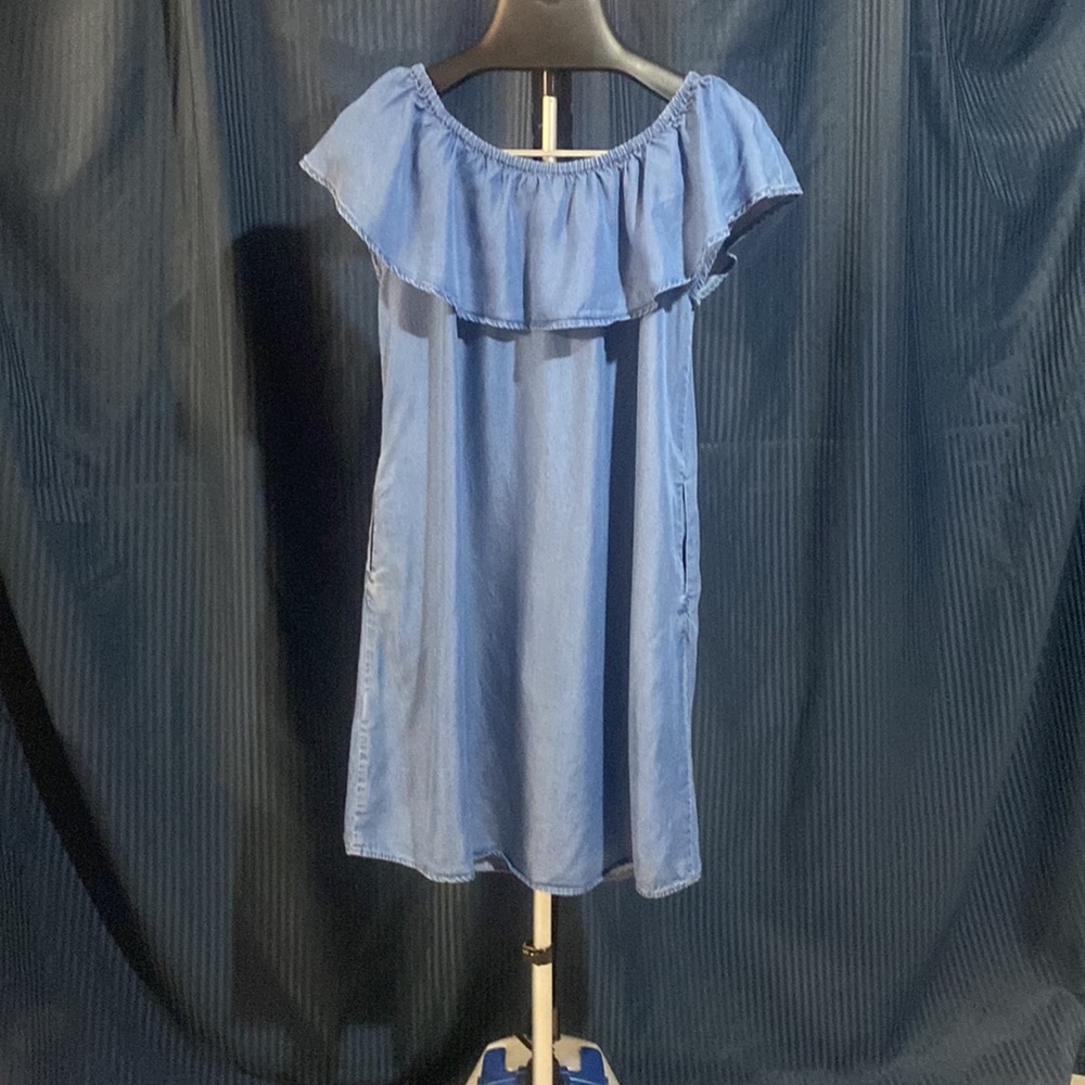 Style and Company denin dress size PM